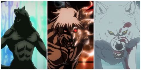 wolf girl anime|The 15+ Best Werewolf Anime Of All Time